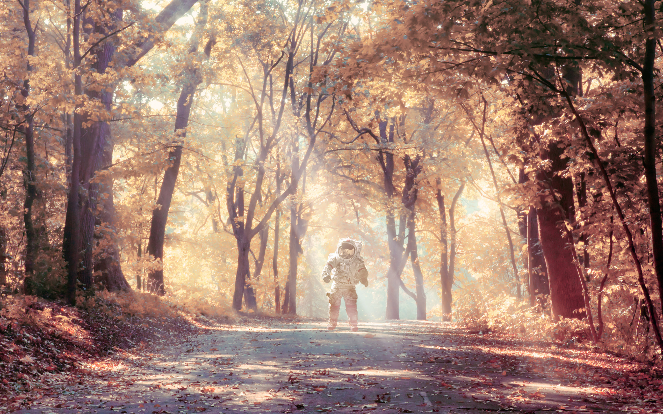 Astronaut in Autumn